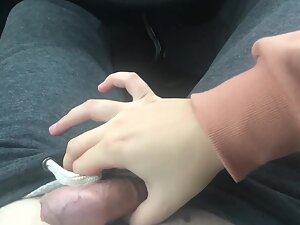 Blowjob and doggy style in the car by the highway Picture 3